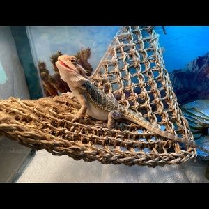 Meet your Posher, Ashleigh